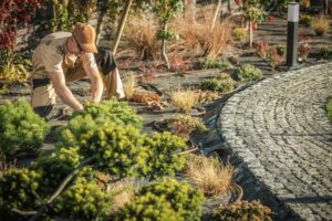 medir-metros-cuadrados-jardineria
