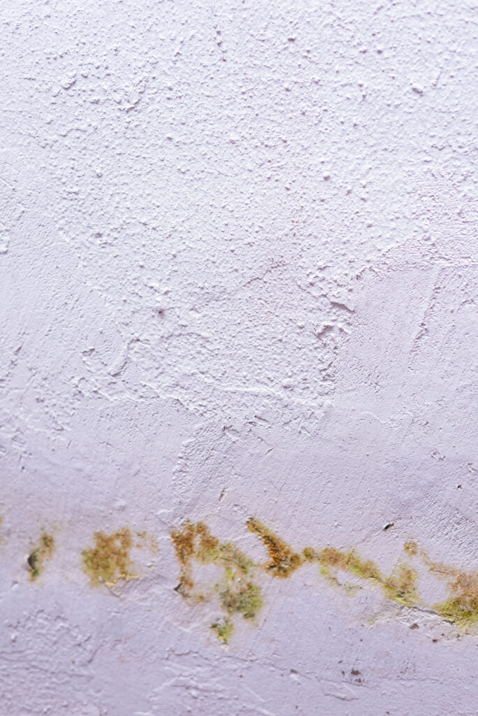 ¿Cómo solucionar una humedad en la pared?