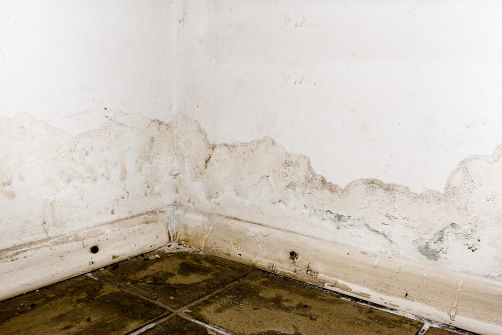 ¿Cómo solucionar una humedad en la pared?
