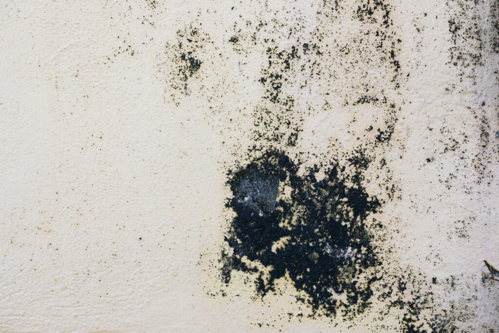 ¿Cómo solucionar una humedad en la pared?
