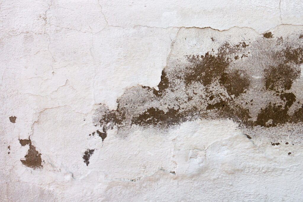 ¿Cómo solucionar una humedad en la pared?